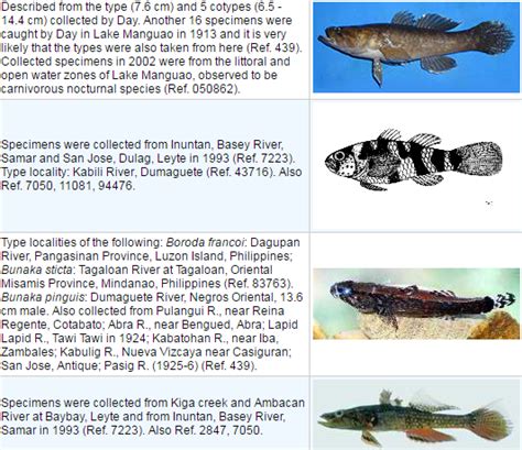 martaniko fish|List of Freshwater Fishes reported from Philippines.